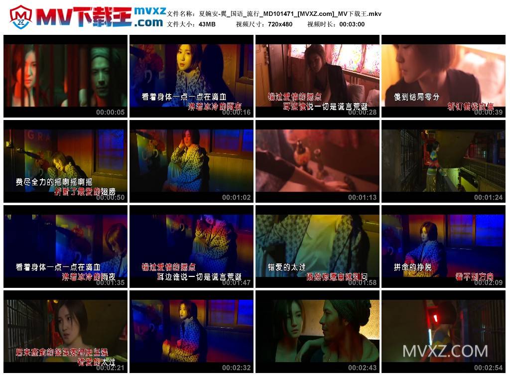 夏婉安-翼_国语_流行_MD101471